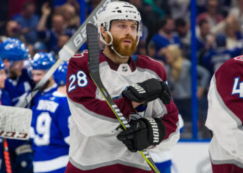 NHL Player Suspended For Sexual Abuse, Grooming Minor Allegations