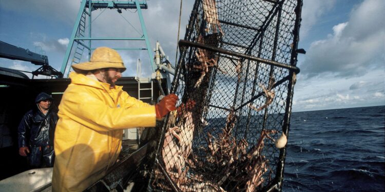 No Deadliest Catch: A Billion Snow Crabs Vanish From Bering Sea And No One Knows Why