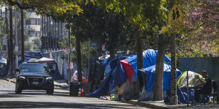 Needles, Crime, And Mental Illness: The Homeless Crisis Coming For Democrats In November