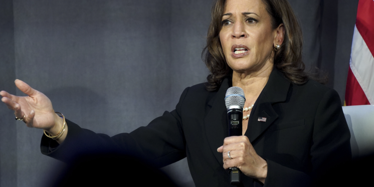 ‘We’re Going To Support All Communites’: FEMA Administrator Vows To Help ‘Everybody’ After VP Harris’s Hurricane Relief ‘Equity’ Comments