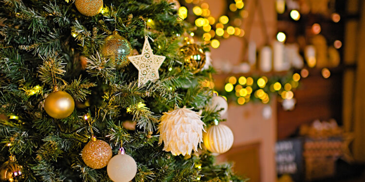 Price Levels And Supply Chains Will Impact Christmas Tree Prices This Year