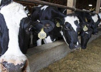 Milk: It does a body good again