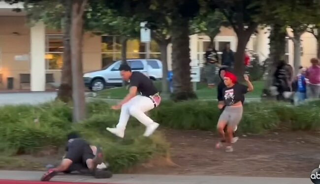 This Is What Happens When There Are No Consequences—Mall Brawls Break out Across America
