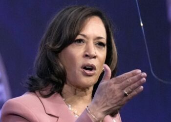 Kamala Harris Gives Delusional Take on Her Dismal Approval Ratings