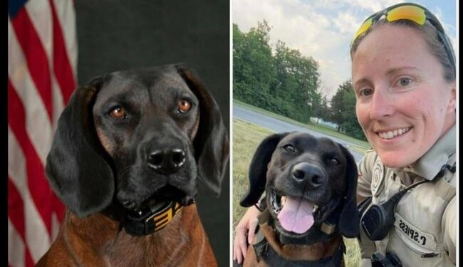 Feel-Good Friday: The K-9 Victory Project and St. Charles County Honor K-9 ‘Tank’ on His Retirement