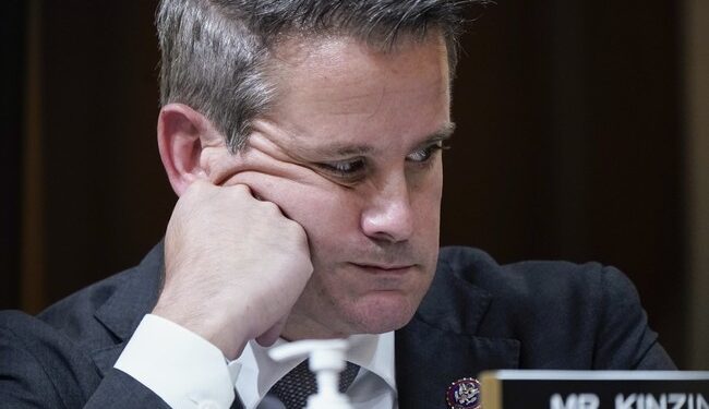 Adam Kinzinger Has an Hours-Long Mental Breakdown Over Mike Lee and the January 6th Tapes
