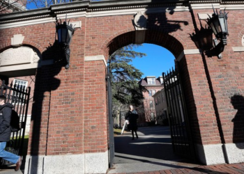 Harvard Early Admissions Applications Plunge 17 Percent – RedState