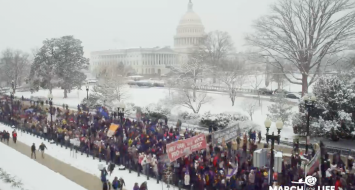 51st Annual March for Life: Pro-Life Generation Braves Blizzard
