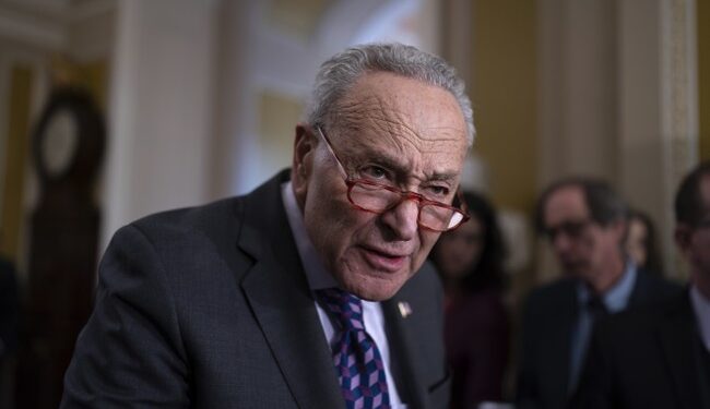Israel Fires Back at Chuck Schumer’s Foreign Election Interference and Tells Him to Pound Sand – RedState