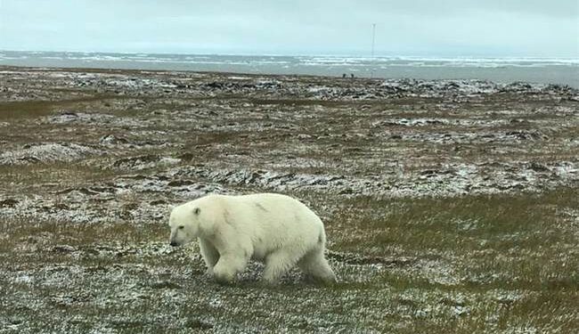 Now Global Warming is Altering Time? – HotAir