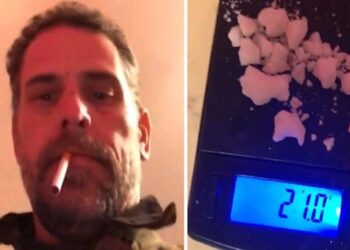Afroman Reprises ‘Then I Got High’ Hit to Hilariously Mock Hunter Biden, Family Influence Peddling – RedState