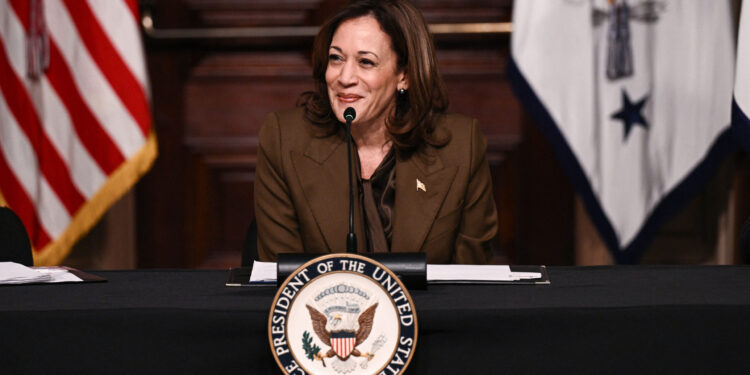 Left-Wing Group Pushed a Policy That Could Shape 2024 Outcome