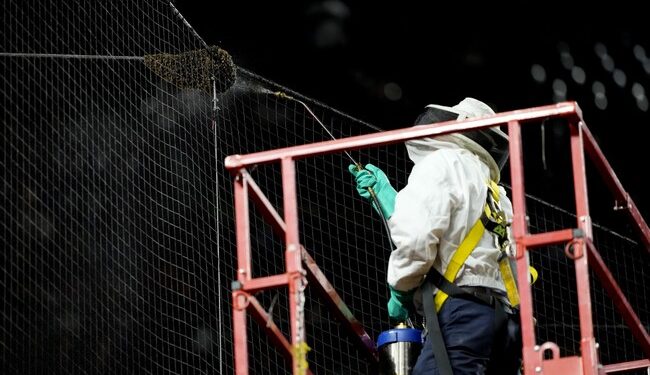 The Story of the Hero Beekeeper From the Dodgers-Diamondbacks Game Just Keeps Getting Better – RedState