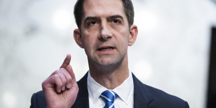 Tom Cotton Blasts Pro-Hamas Protesters: ‘They Deserve Our Contempt’ And ‘Our Mockery’