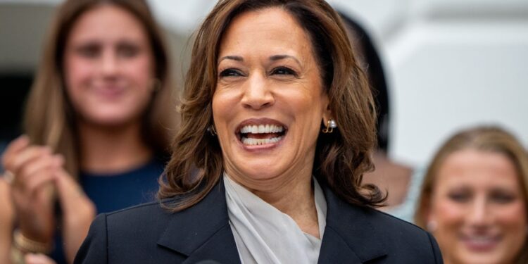 Democrats Hope That White Guilt Will Carry Them To Victory