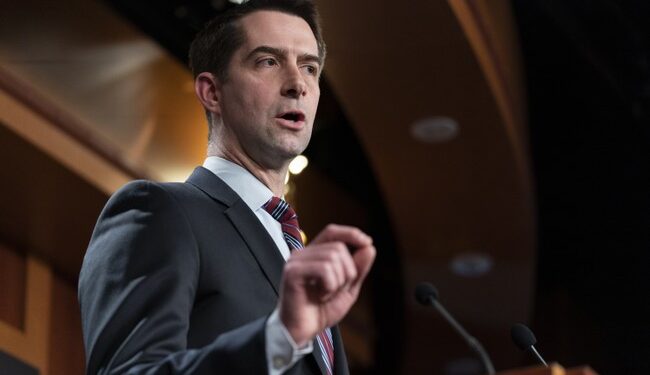 Tom Cotton Demolishes Jonathan Karl After the ‘Journalist’ Gaslights About Kamala Harris – RedState