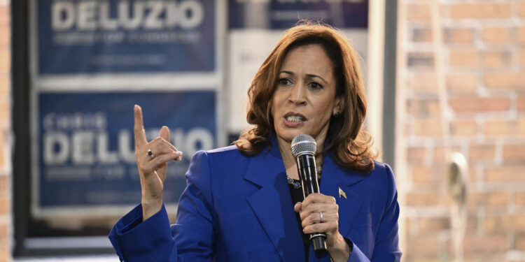 Anatomy of Harris Campaign Stop: No There There