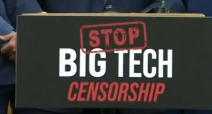 Dem Senate Campaign Official Mourns Decrease in Big Tech-Gov’t Collusion