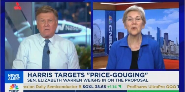 CNBC Host Shreds Elizabeth Warren’s ‘Fallacious,’ ‘Misleading’ Pitch