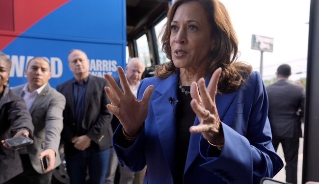 2024 Democrat Platform Contains Numerous Embarrassing Moments for Kamala Harris – RedState