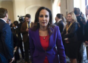 Harmeet Dhillon Goes Off on Pro-Life Activists Over Their Efforts to Suppress Votes for Trump – RedState