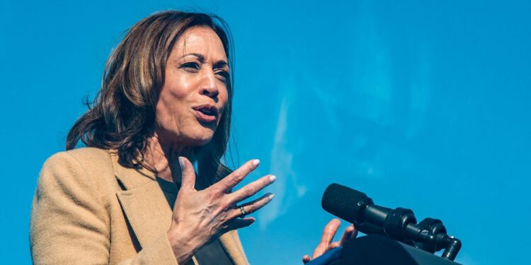 Victor Davis Hanson Rips Goldman Sachs for Propping Up Harris