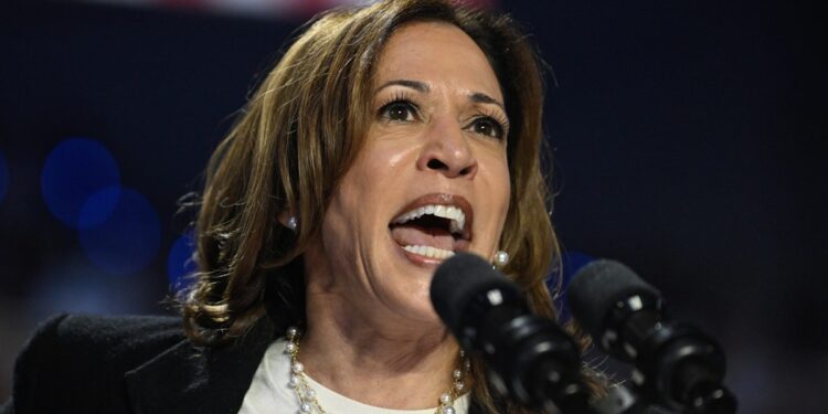 Kamala Harris Claims She Won’t Take Guns, But Signals She Wants A Ban