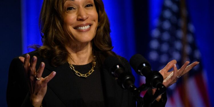 New York Times Dismantles Kamala After MSNBC Interview: ‘Repeatedly Dodged Direct Questions’