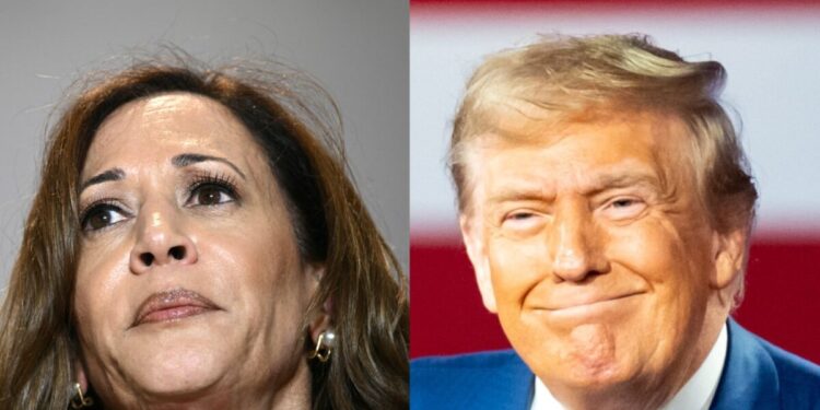 Kamala’s Momentum Gone. Trump Regains Lead.