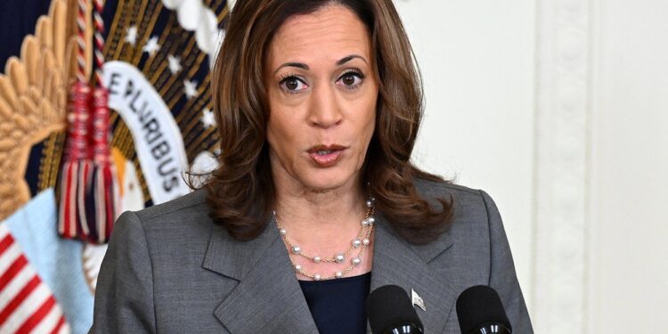 Defensive Gun Use Is Point of Second Amendment