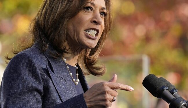 ‘To Be Clear, That Is Plagiarism’—NY Times Expert Revises Analysis of Kamala’s Book Scandal – RedState