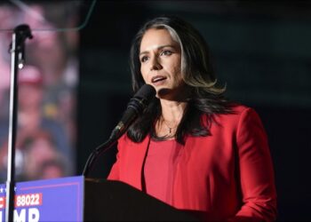 Another Great MAHA Alliance Ad, This One Featuring Tulsi Gabbard – RedState