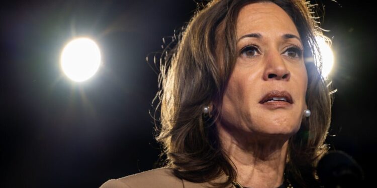 Majority Of Americans Say Kamala Harris Hasn’t ‘Clearly Explained’ Immigration Stance