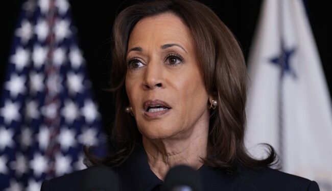 Biden, Harris Comments in Hurricane-Affected Area Raise Questions and Anger, Elon Wrecks Them in Tweet – RedState