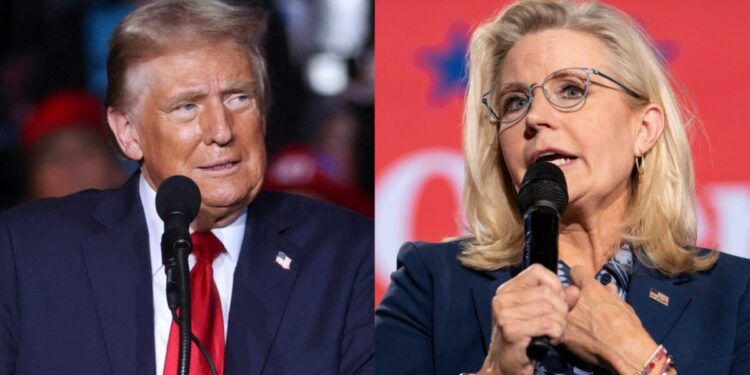 MSNBC Guest Claims Trump Is Trying To ‘Bait Biden Into Pardoning Liz Cheney’