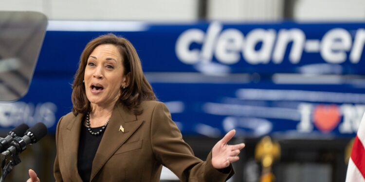 Government Failures on Broadband, EV Promises Aren’t Surprising