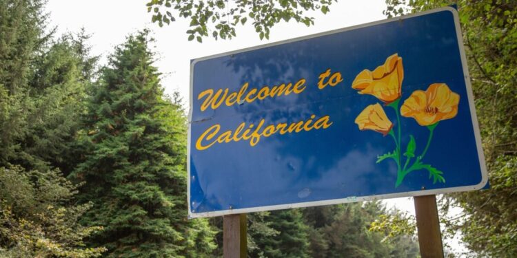 Approximately 8 Million Illegal Aliens Currently Reside In Sanctuary Cities, Analysis Says