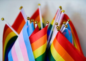 Colorado School Board Could Allow Teachers To Fly BLM, Transgender Flags In Classroom