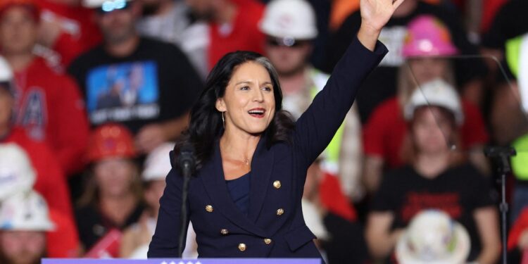 Tulsi Gabbard To Vow ‘Laser-Like Focus’ On ‘Safety, Security, And Freedom’ At Hearing