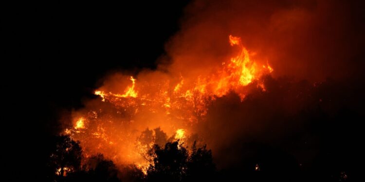 Man Detained With Blowtorch Near Wildfire ID’d As Illegal Immigrant, Not Charged With Arson: Report