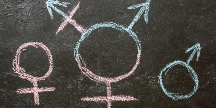 Daughters Of The American Revolution Chapter Is Fighting To Keep Men Out