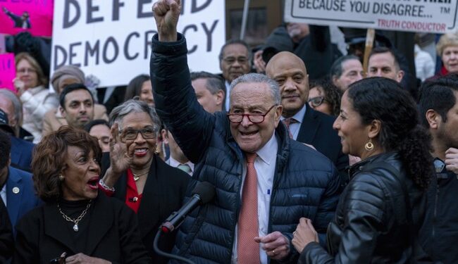 Schumer’s New Portal to ‘Expose Corruption, Abuses of Power, and Threats’ Backfires Big Time – RedState