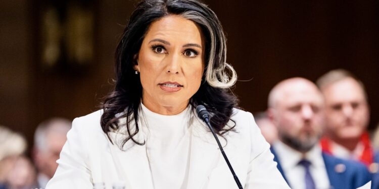Senator Warns Tulsi Gabbard’s Answer On Edward Snowden May Cost Her Being Confirmed