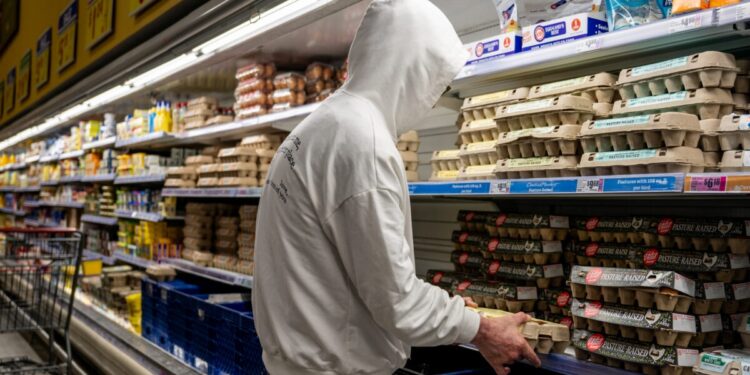 Trump Admin Considering ‘Temporary’ Egg Imports To Lower Prices Amid Avian Flu Outbreak