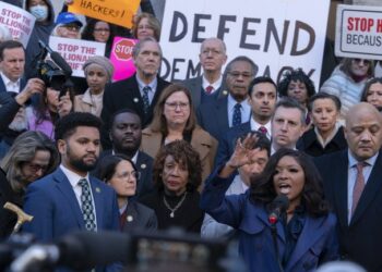 ‘Resistance’ Leader Jasmine Crockett Steps on a Rake in Reaction to January Jobs Report – RedState