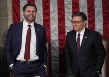 The Boss Move JD Vance Made Before Al Green Was Escorted Out of Trump’s Speech – RedState