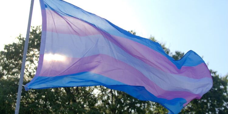 Tennessee Town Faces Down Liberal Protests, Votes To Remove Books Promoting Transgenderism To Kids
