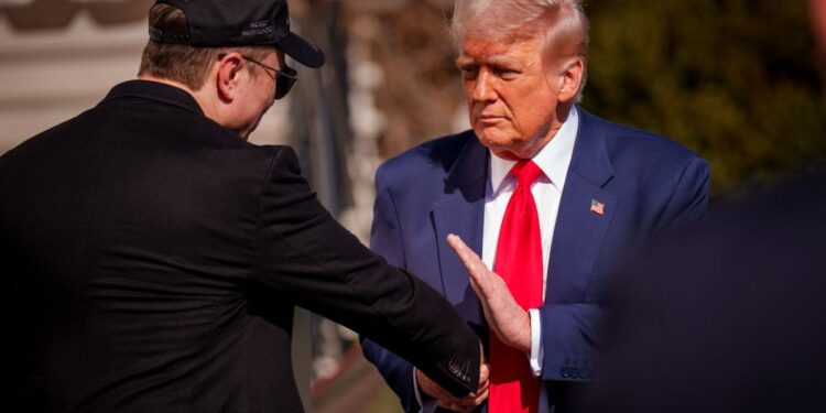 Trump Refutes NYT Report Claiming Musk Will Receive Pentagon Briefing On China