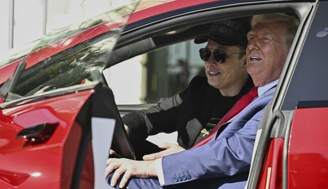 CNN Panelist Triggered by Trump’s White House Tesla Event Walks Into Trap of Her Own Making – RedState