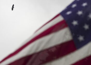 We Finally Have a National Language Thanks to Trump Executive Order – RedState